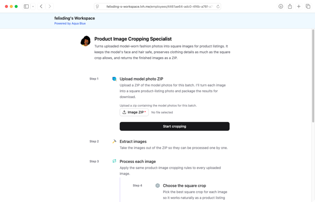 Public run page example Public run page example